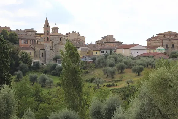 Castelnuovo Berardenga vista dalla campagna