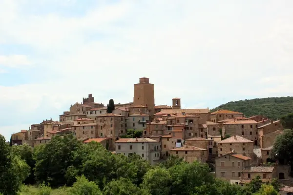 Petroio raccolto intorno alla sua torre, visto dalla campagna