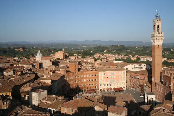 Siena: la Torre del Mangia sopra i tetti del Campo