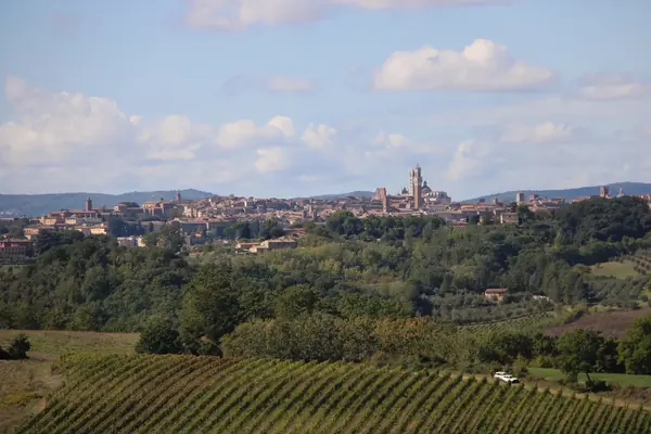 Siena vista dalla campagna, con il Duomo e la Torre del Mangia