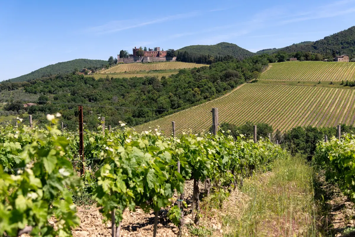 Brolio Castle above the Chianti vineyards